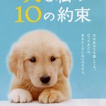 10 Promises To My Dog (2008)